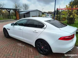 Biały Używany 2016 Jaguar XE Prestige Sedan/Limuzyna | 60 000 zł (Uczciwa cena)