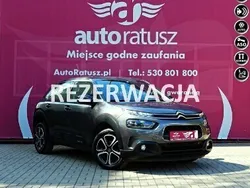 Szary Używany 2019 Citroën C4 Cactus Hatchback | 55 500 zł