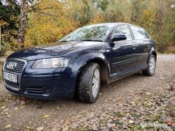 Niebieski Używany 2007 Audi A3 Hatchback | 4200 zł