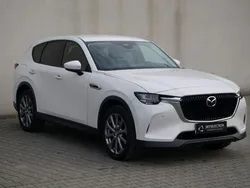 Biały Używany 2022 Mazda CX-60 SUV | 229 900 zł (Dość drogi)