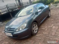 Używany 2004 Peugeot 307 Kabriolet | 4999 zł (Dobra cena)