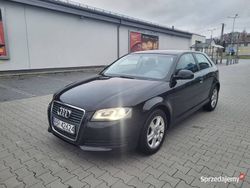 Czarny Używany 2010 Audi A3 Hatchback | 21 900 zł (Uczciwa cena)