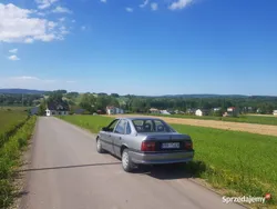 Używany 1993 Opel Vectra | 2000 zł
