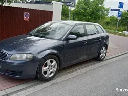 Używany 2005 Audi A3 | 7900 zł (Dobra cena)