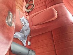 Używany 1985 Ford Thunderbird | 10 000 zł