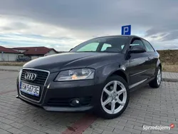 Szary Używany 2009 Audi A3 Hatchback | 19 999 zł (Uczciwa cena)