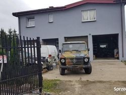 Zielony Używany 1981 Mercedes E300 SUV | 24 000 zł