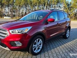 Czerwony Używany 2019 Ford Kuga SUV | 58 000 zł (Super Cena)