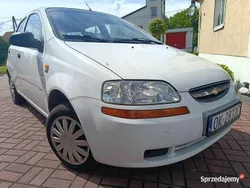 Biały Używany 2004 Chevrolet Aveo Hatchback | 1650 zł (Dobra cena)