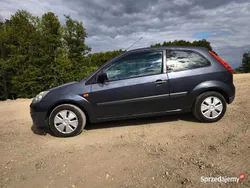 Szary Używany 2007 Ford Fiesta Hatchback | 9800 zł