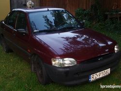 Bordowy Używany 1995 Ford Escort | 1500 zł