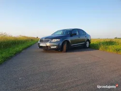 Szary Używany 2015 Skoda Octavia Ambition Hatchback | 35 000 zł (Drogi)