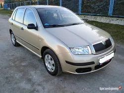 Używany 2005 Skoda Fabia | 9900 zł (Drogi)