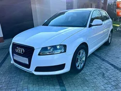 Biały Używany 2008 Audi A3 S-Line Hatchback | 18 900 zł (Uczciwa cena)