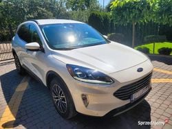 Biały Używany 2022 Ford Kuga Titanium SUV | 95 000 zł (Super Cena)