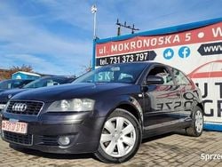 Używany 2004 Audi A3 Comfort | 5990 zł (Uczciwa cena)