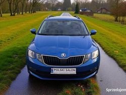 Niebieski Używany 2019 Skoda Octavia Kombi | 49 900 zł (Uczciwa cena)