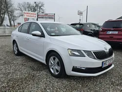 Biały Używany 2017 Skoda Octavia Ambition Sedan/Limuzyna | 49 900 zł (Dość drogi)