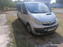 Srebrny Używany 2006 Opel Vivaro Van | 33 000 zł