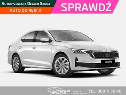 Biały (metalik) Nowe 2025 Skoda Octavia Sedan/Limuzyna | 159 350 zł