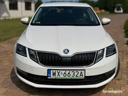 Biały Używany 2019 Skoda Octavia Hatchback | 48 000 zł (Uczciwa cena)