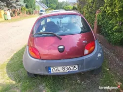 Czerwony Używany 2000 Ford Ka Hatchback | 1200 zł