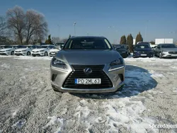 Lexus NX300h