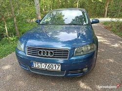 Używany 2005 Audi A3 | 7200 zł (Dobra cena)