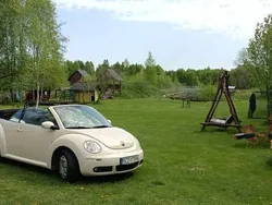 Używany 2007 VW Beetle Kabriolet | 31 000 zł