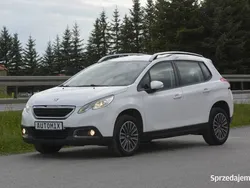 Biały Używany 2014 Peugeot 2008 SUV | 31 100 zł (Uczciwa cena)