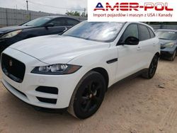 Biały Używany 2019 Jaguar F-Pace Prestige SUV | 156 000 zł