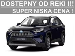 Niebieski Nowe 2025 Toyota RAV4 Comfort SUV | 163 614 zł