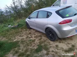 Używany 2010 Seat Leon | 14 500 zł (Uczciwa cena)