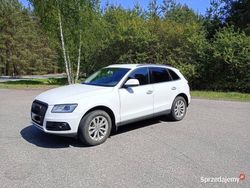 Biały Używany 2016 Audi Q5 SUV | 60 000 zł (Super Cena)