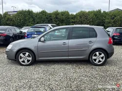Szary Używany 2008 VW Golf V Hatchback | 15 990 zł (Uczciwa cena)