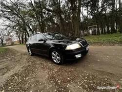 Używany 2007 Skoda Octavia | 13 200 zł (Dość drogi)