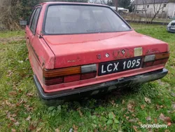 Używany 1984 Audi 80 | 4600 zł