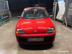 Czerwony Używany 2002 Fiat Seicento Hatchback | 2500 zł (Uczciwa cena)