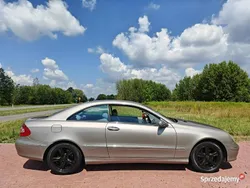 Beżowy Używany 2004 Mercedes CLK270 Coupe | 16 900 zł