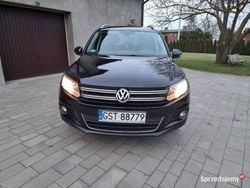 Używany 2014 VW Tiguan SUV | 56 999 zł (Uczciwa cena)