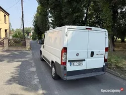 Biały Używany 2008 Fiat Ducato Van | 17 800 zł (Dobra cena)