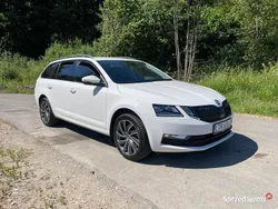 Używany 2018 Skoda Octavia vRS | 52 900 zł (Drogi)