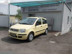 Złoty Używany 2009 Fiat Panda Dynamic Hatchback | 17 600 zł (Dość drogi)