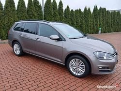 Używany 2014 VW Golf VII Cup Kombi | 13 900 zł (Super Cena)