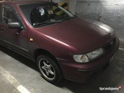 Używany 1998 Nissan Almera | 2500 zł