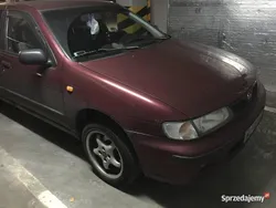 Używany 1998 Nissan Almera | 2500 zł