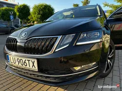 Używany 2017 Skoda Octavia | 48 500 zł (Uczciwa cena)