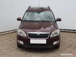 Brązowy Używany 2011 Skoda Roomster Kombi | 15 499 zł (Dobra cena)