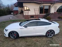 Używany 2019 Audi S5 Sportback Comfort Hatchback | 159 500 zł