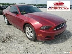 Czerwony Używany 2014 Ford Mustang Coupe | 50 000 zł